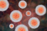 Hepatites virais: as mais comuns são as causadas pelos vírus A, B e C